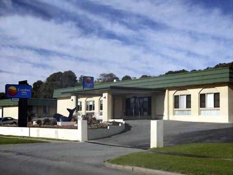 Surestay Hotel By Best Western The Clarence On Melville Олбани Екстериор снимка